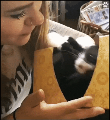 Cutest thing you see today