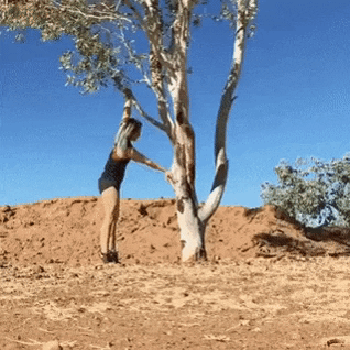 Wrong way to climb tree