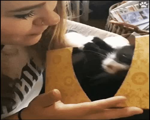 Cutest thing you see today