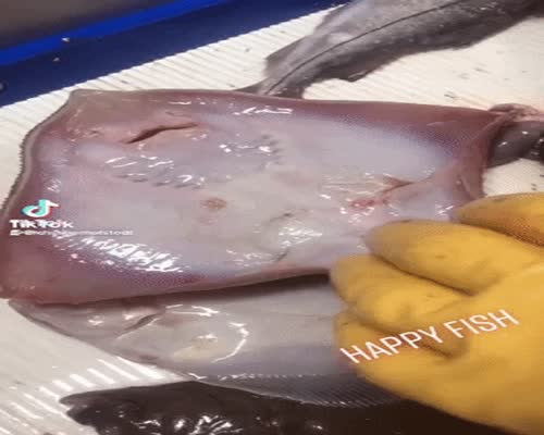 Happy fish