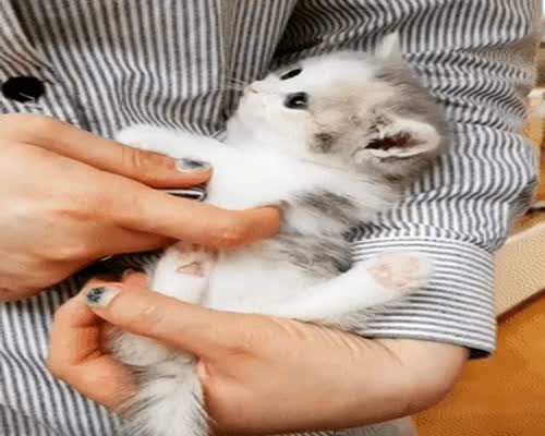 Cute